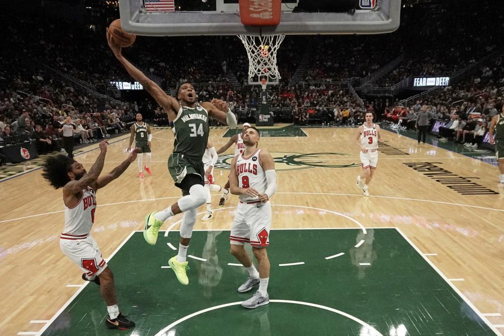 本赛季表现 本赛季表现